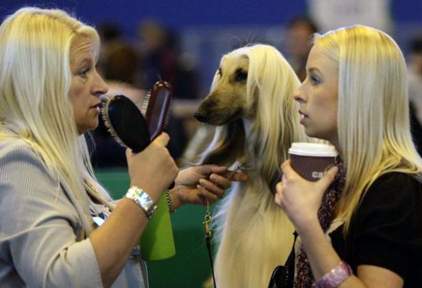 Crufts Dog Show 2009