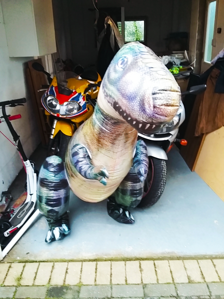 6' dinosaur