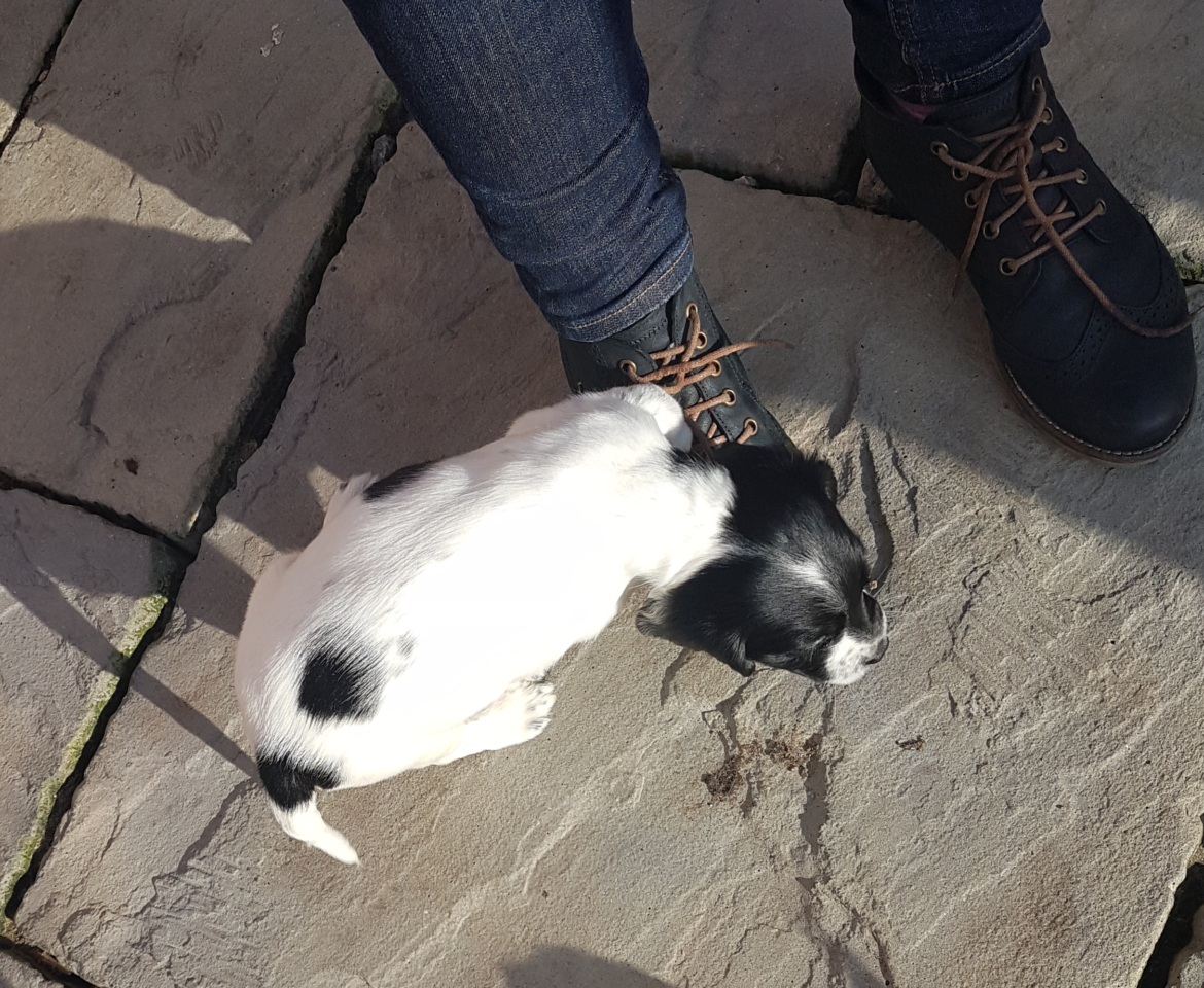 Blogathon 28/22: Happy Unbirthday!