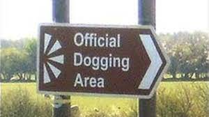 Dogging